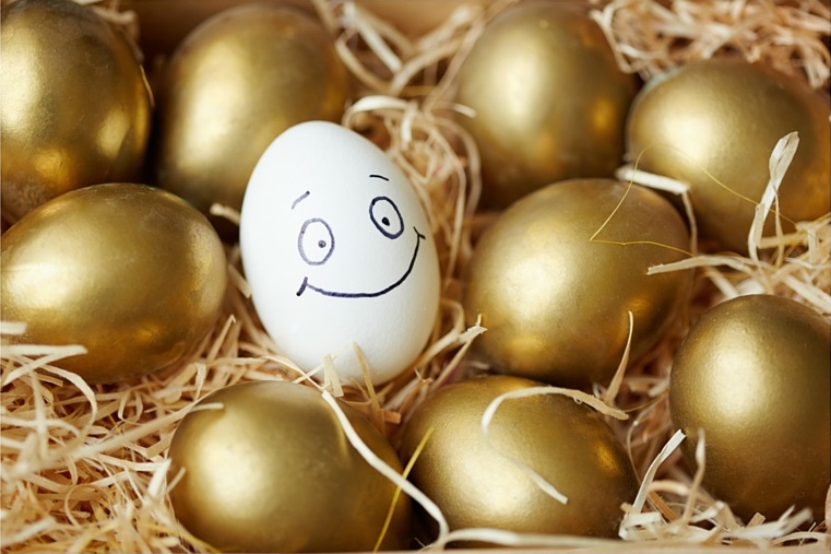 Want Clients to Choose You? Be Special